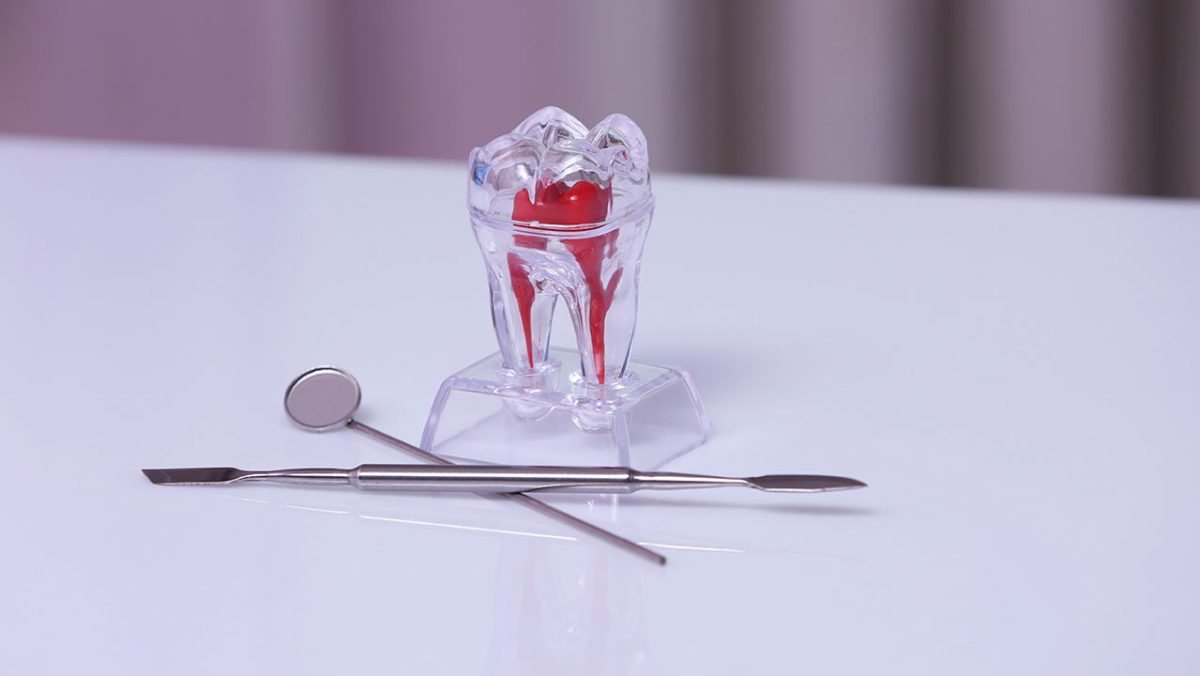 Dental pain can affect daily life and should be treated by a professional as soon as possible.